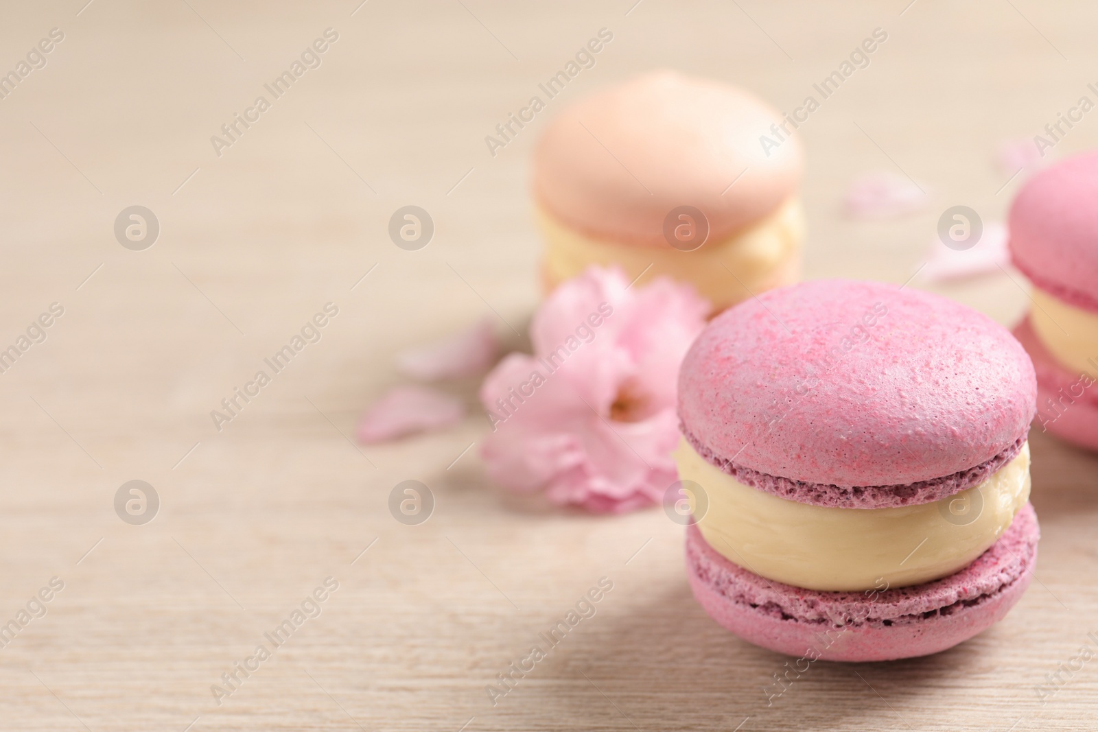 Photo of Pink macarons and flowers on white wooden table, space for text