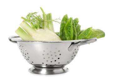 Photo of Metal colander with fennel and lettuce isolated on white