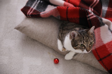 Photo of Cute cat covered with plaid and Christmas ball indoors, above view