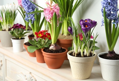 Photo of Different beautiful potted flowers on table near white wall