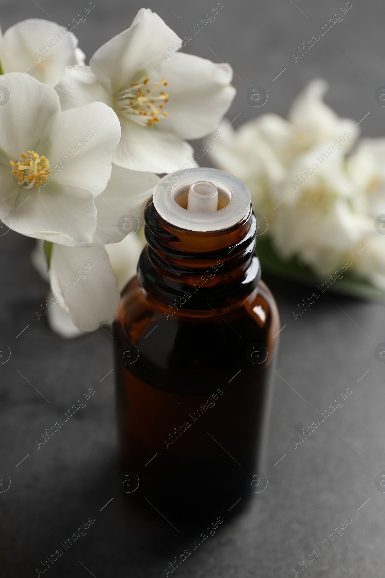 Photo of Essential oil and jasmine flowers on grey table, closeup