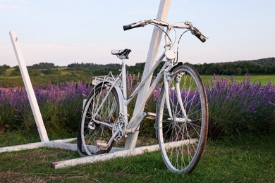 Photo of White bicycle near beautiful blooming lavender outdoors