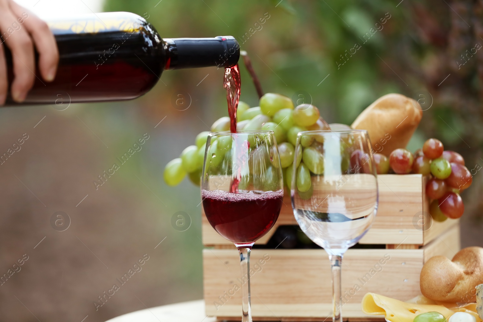 Photo of Woman pouring red wine into glass on table in vineyard