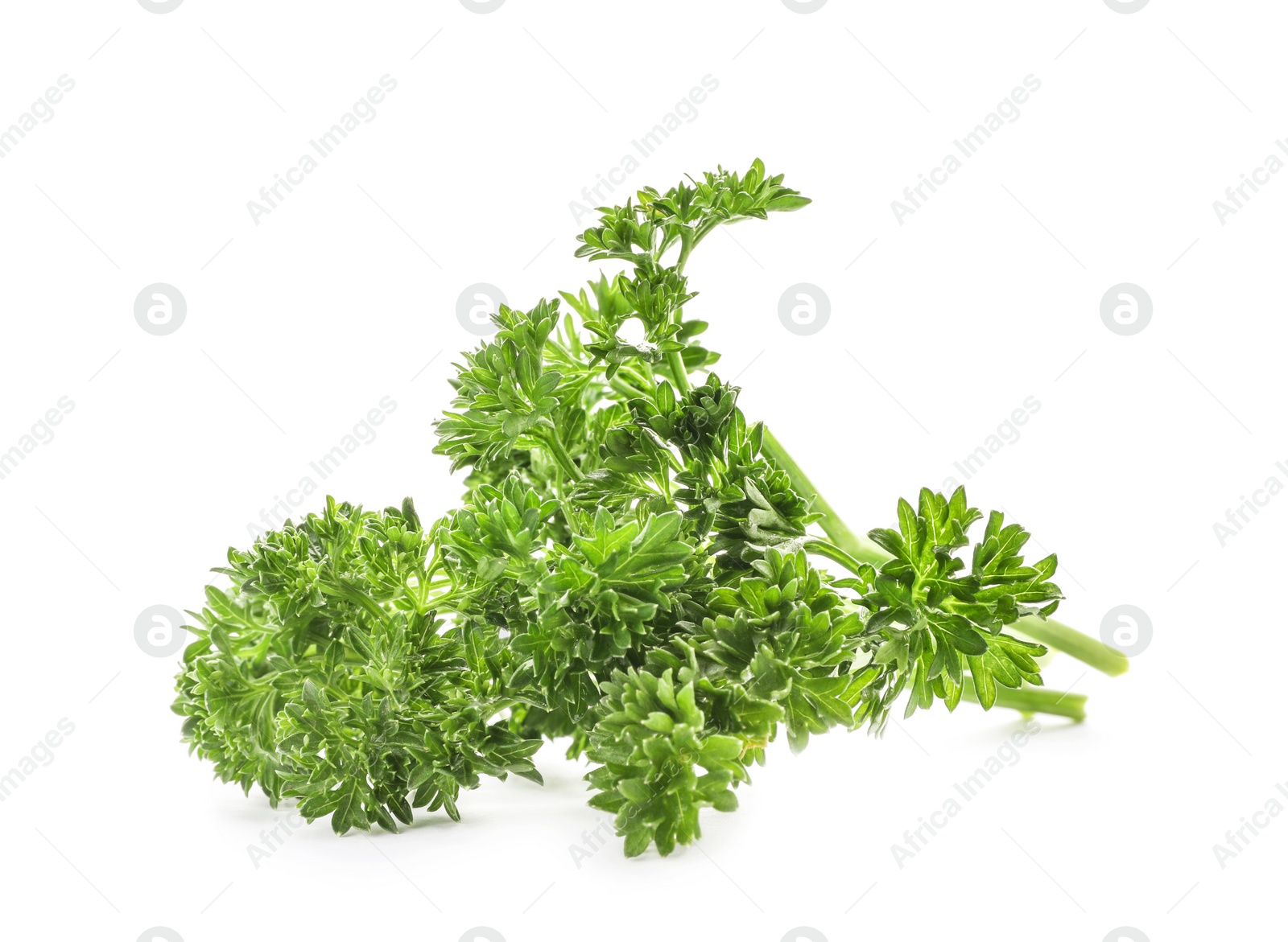 Photo of Fresh green parsley on white background