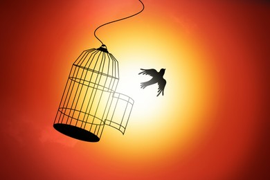 Image of Freedom. Bird flying out of open cage against sun, illustration