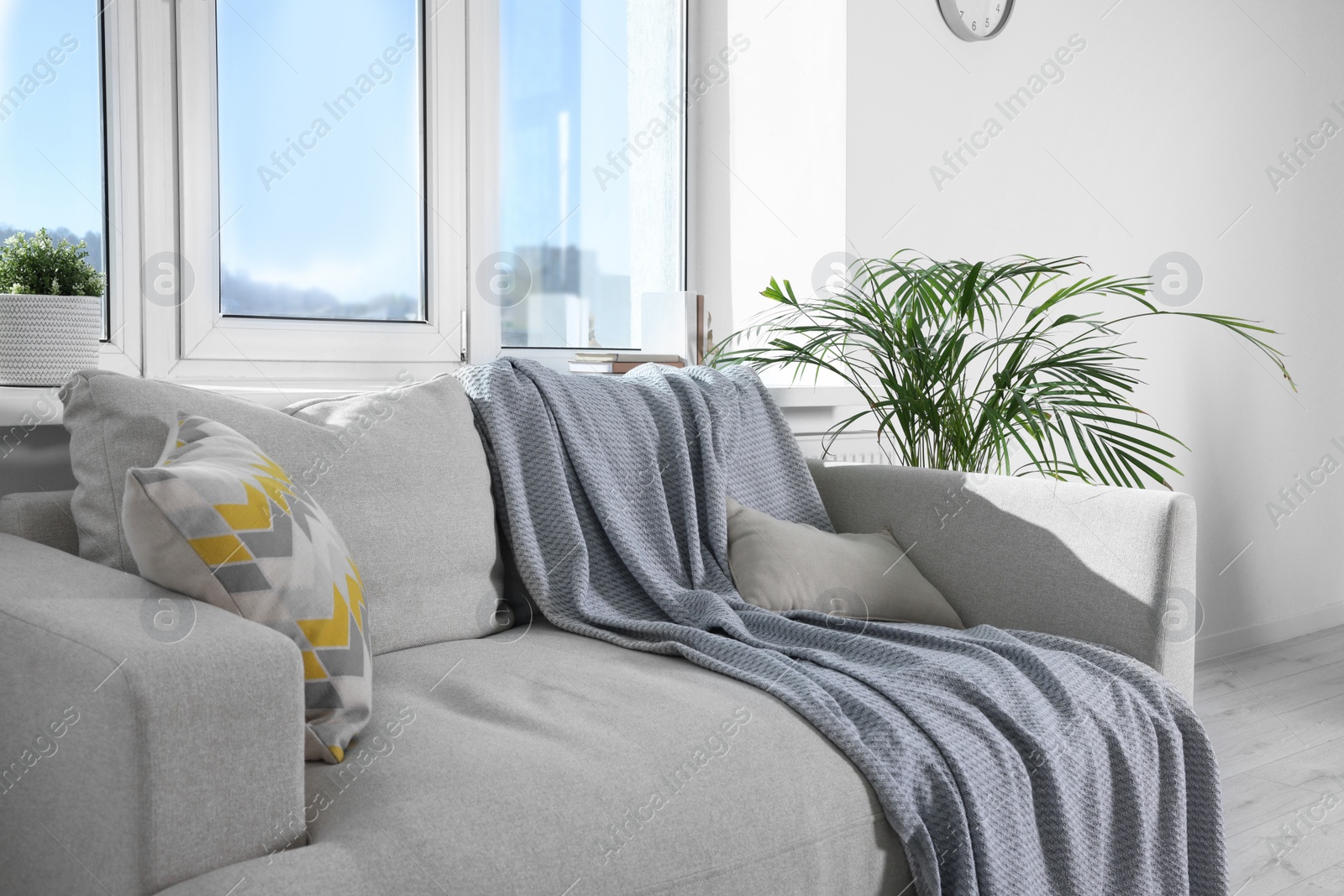 Photo of Cosy living room with sofa and plant near window. Interior design