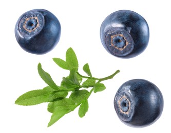 Image of Set with fresh ripe bilberries and green leaves isolated on white