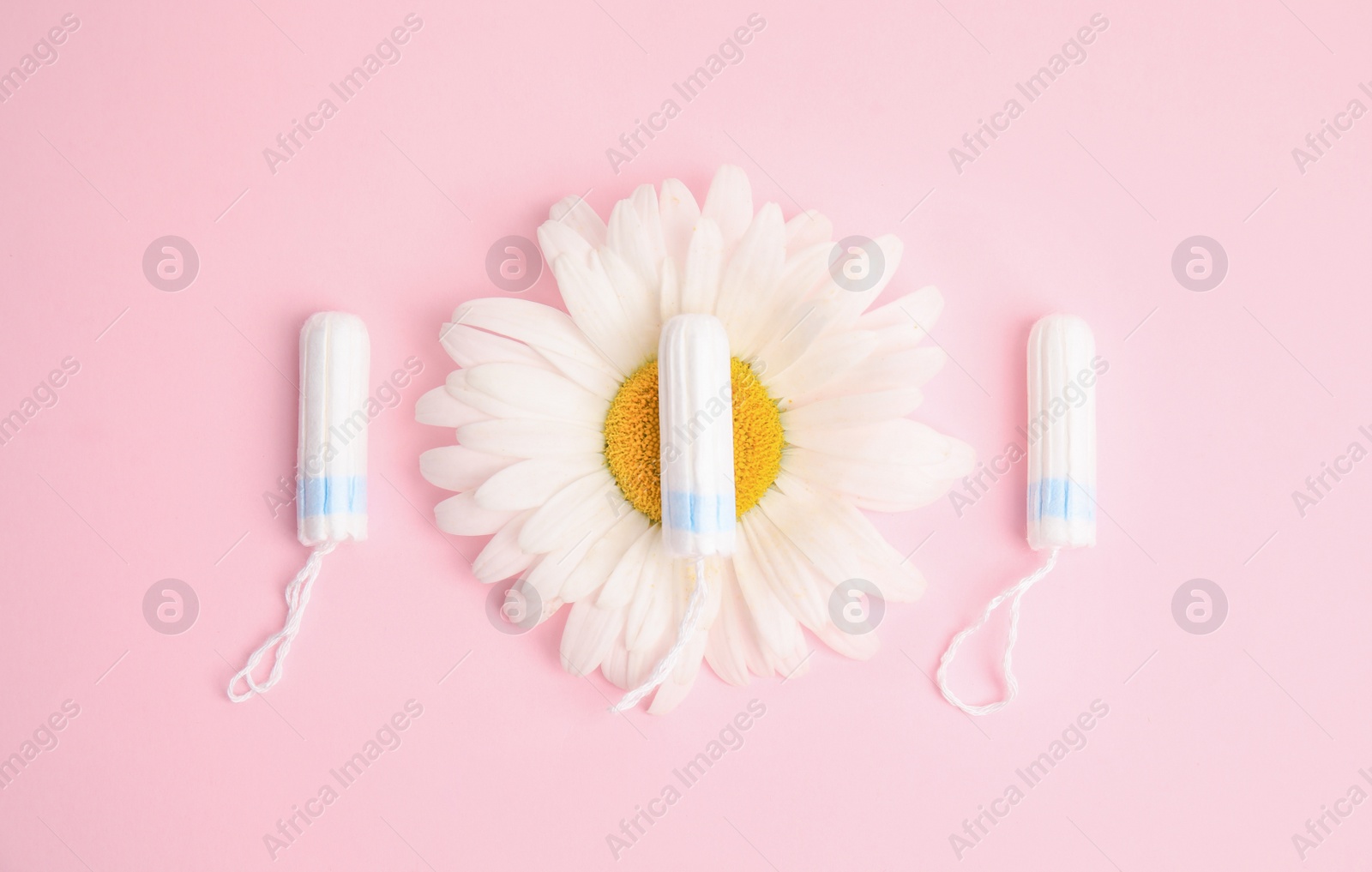 Photo of Tampons and chamomile on light pink background, flat lay