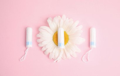 Photo of Tampons and chamomile on light pink background, flat lay