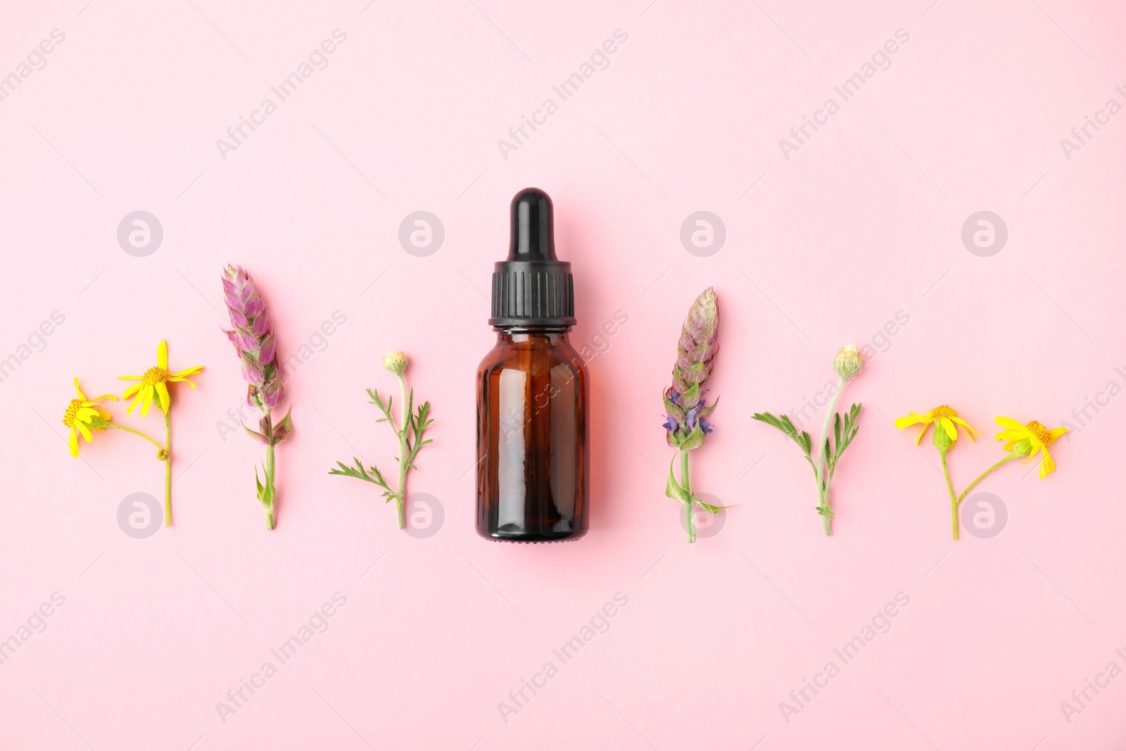 Photo of Bottle of essential oil and wildflowers on color background, flat lay