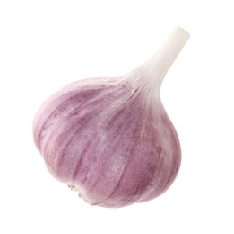 Unpeeled head of fresh garlic isolated on white