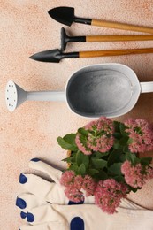 Flat lay composition with watering can and gardening tools on color textured background