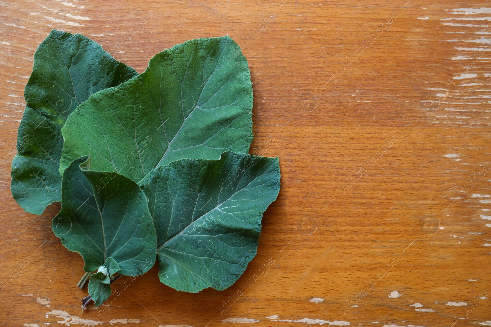 Photo of Fresh green burdock leaves on wooden table, flat lay. Space for text