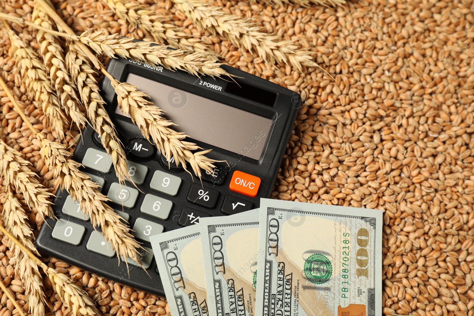 Photo of Dollar banknotes, calculator and wheat ears on grains, closeup. Agricultural business