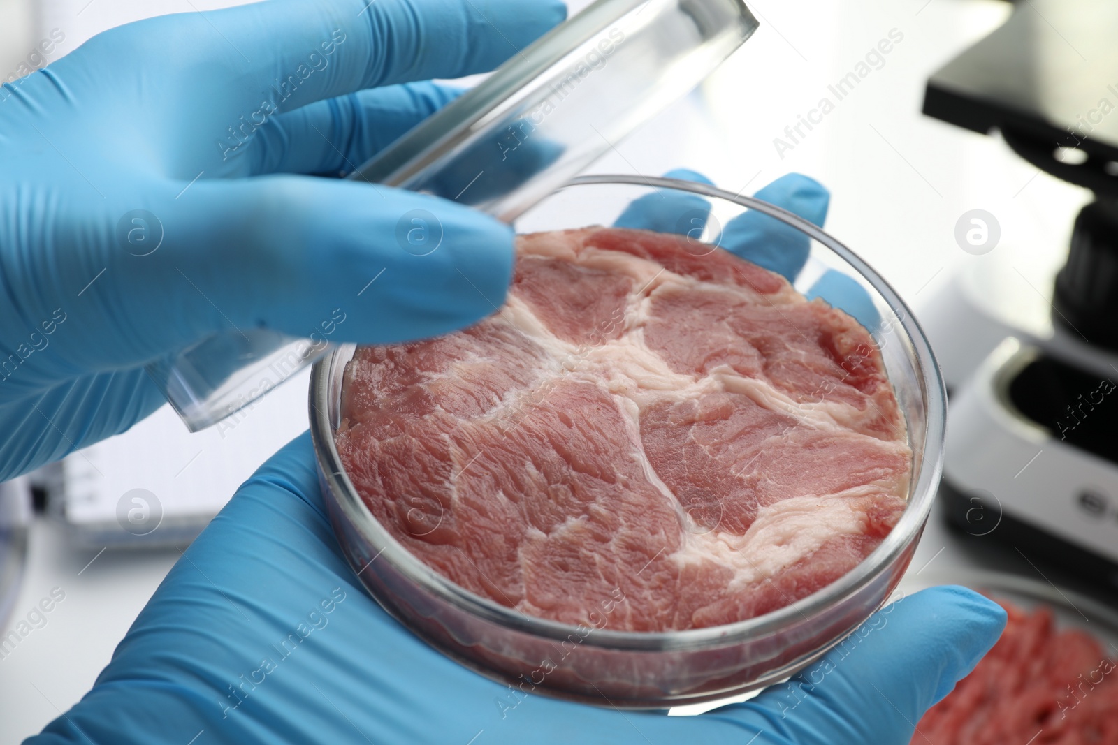 Photo of Scientist holding Petri dish with cultured meat in laboratory, closeup