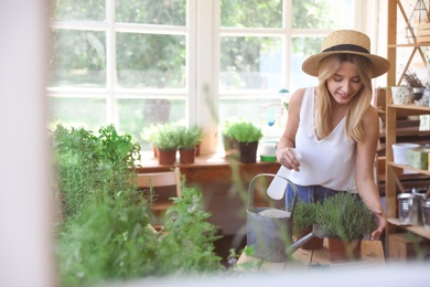 Young woman sprinkling home plants at wooden table indoors, view through window