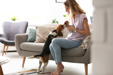 Photo of Young woman with her dog at home