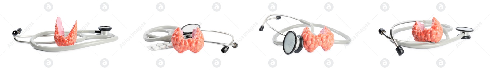 Image of Plastic models of afflicted thyroid and stethoscopes on white background, collage. Banner design 