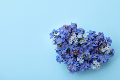 Heart of beautiful forget-me-not flowers on light blue background, top view. Space for text