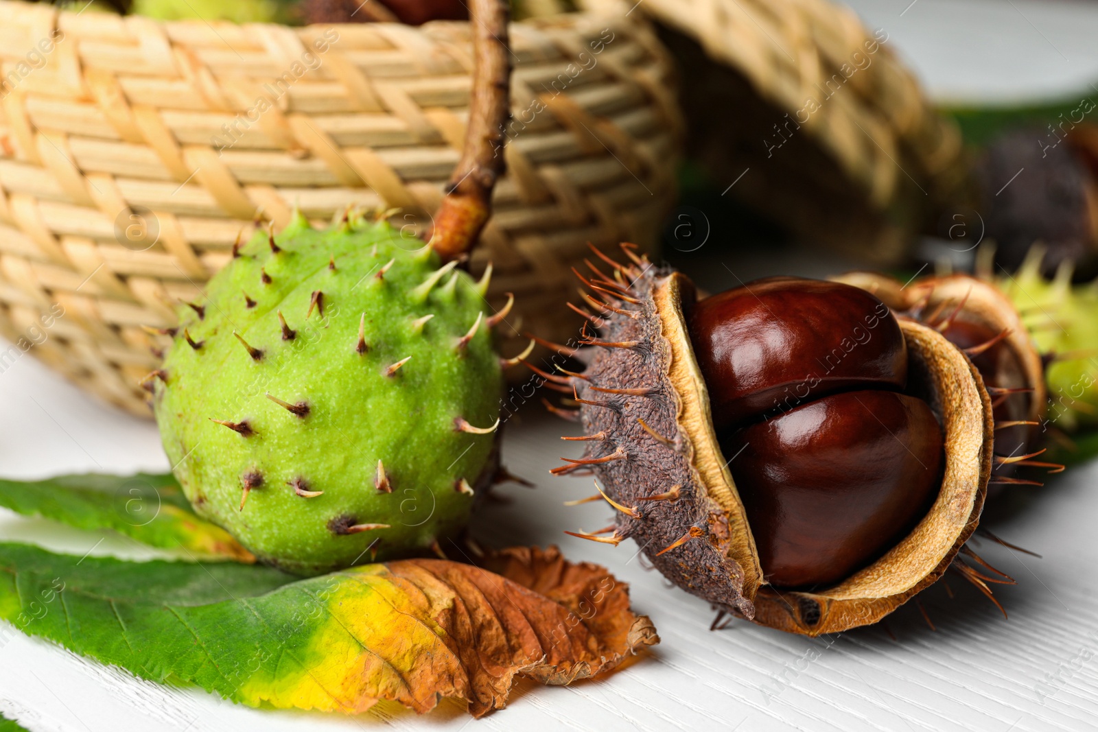 Photo of Horse chestnuts on white wooden table, closeup