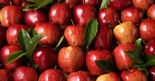 Photo of Fresh ripe red apples with leaves as background, closeup