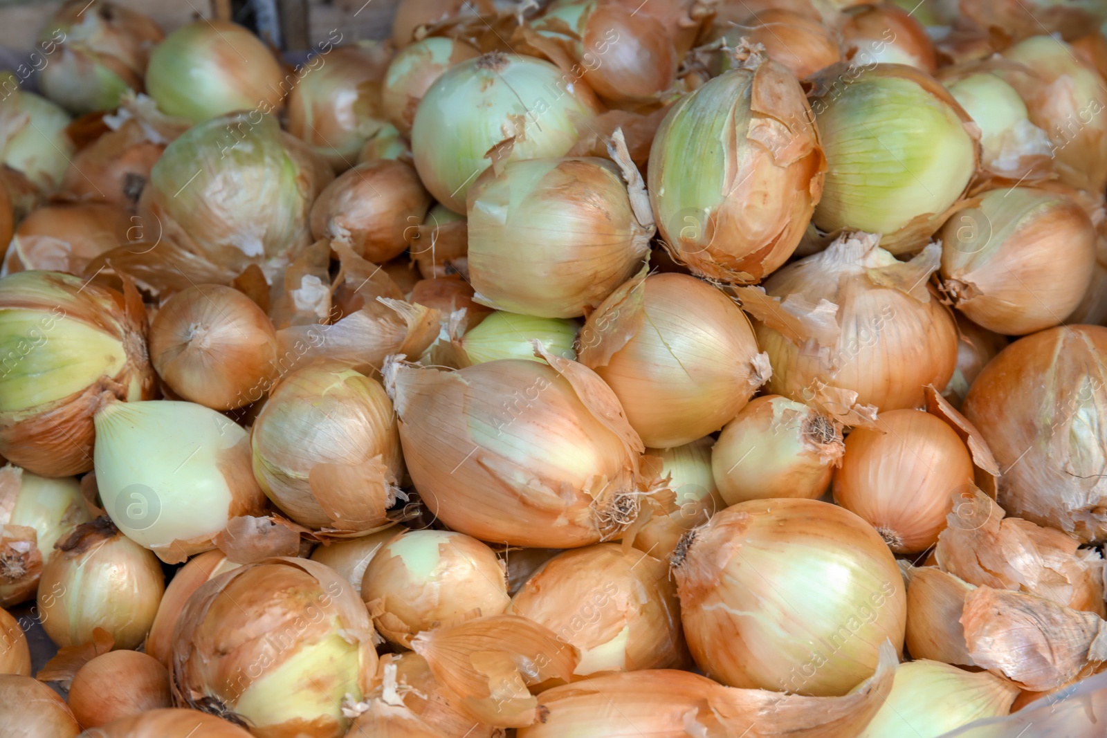 Photo of Pile of fresh ripe onions as background, closeup