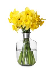 Beautiful daffodils in vase on white background