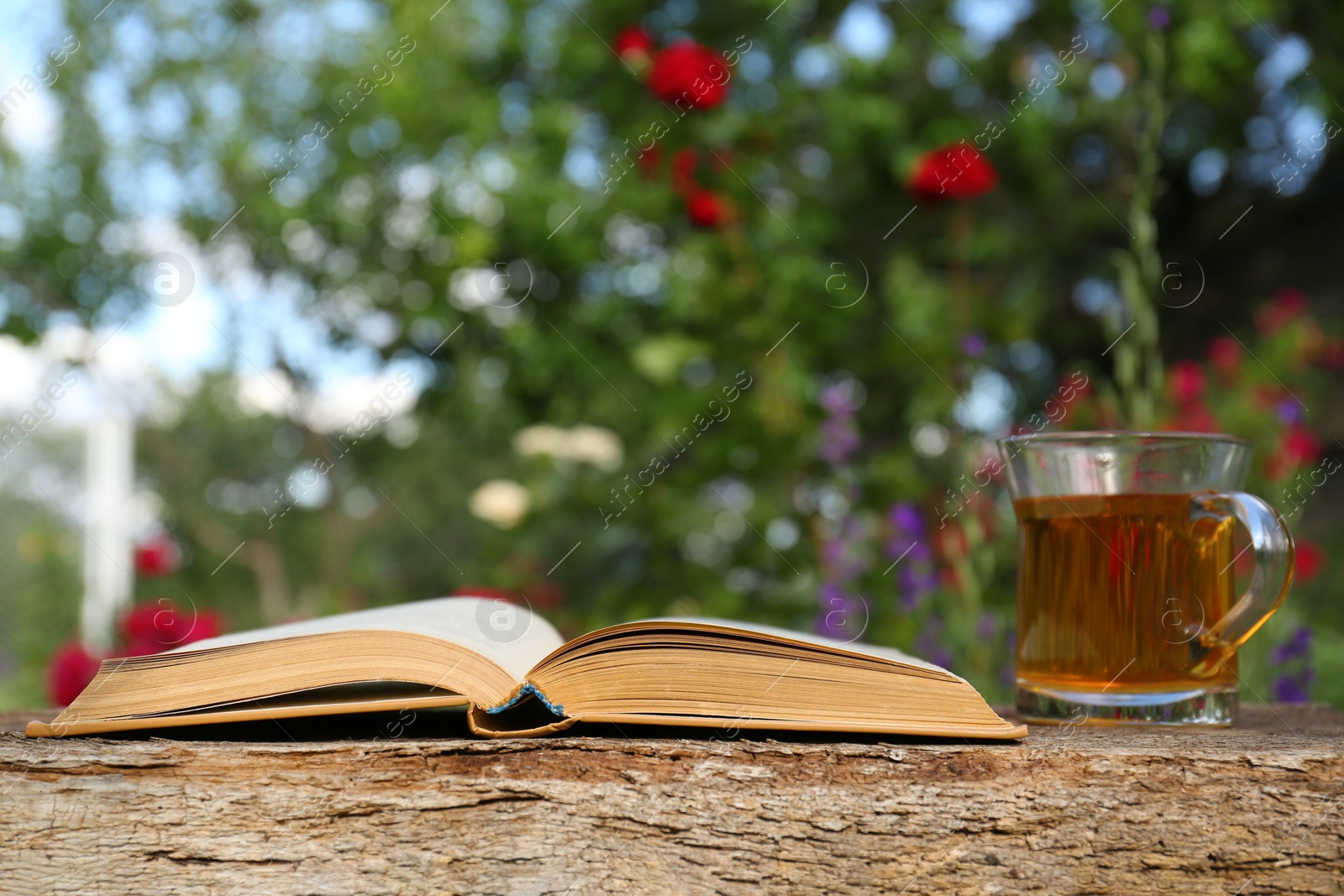 Photo of Open book with glass cup of tea on wooden table in garden