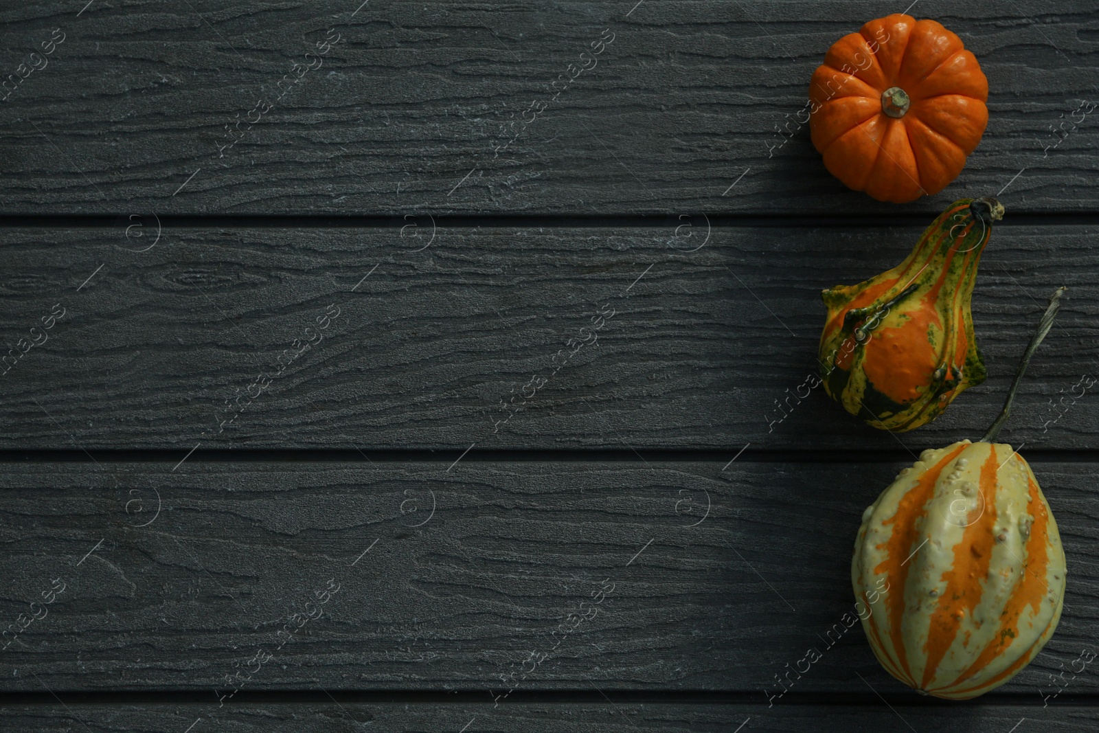 Photo of Many different pumpkins on wooden table, flat lay. Space for text