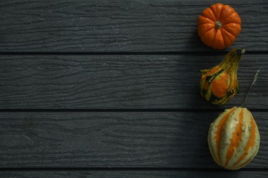 Photo of Many different pumpkins on wooden table, flat lay. Space for text
