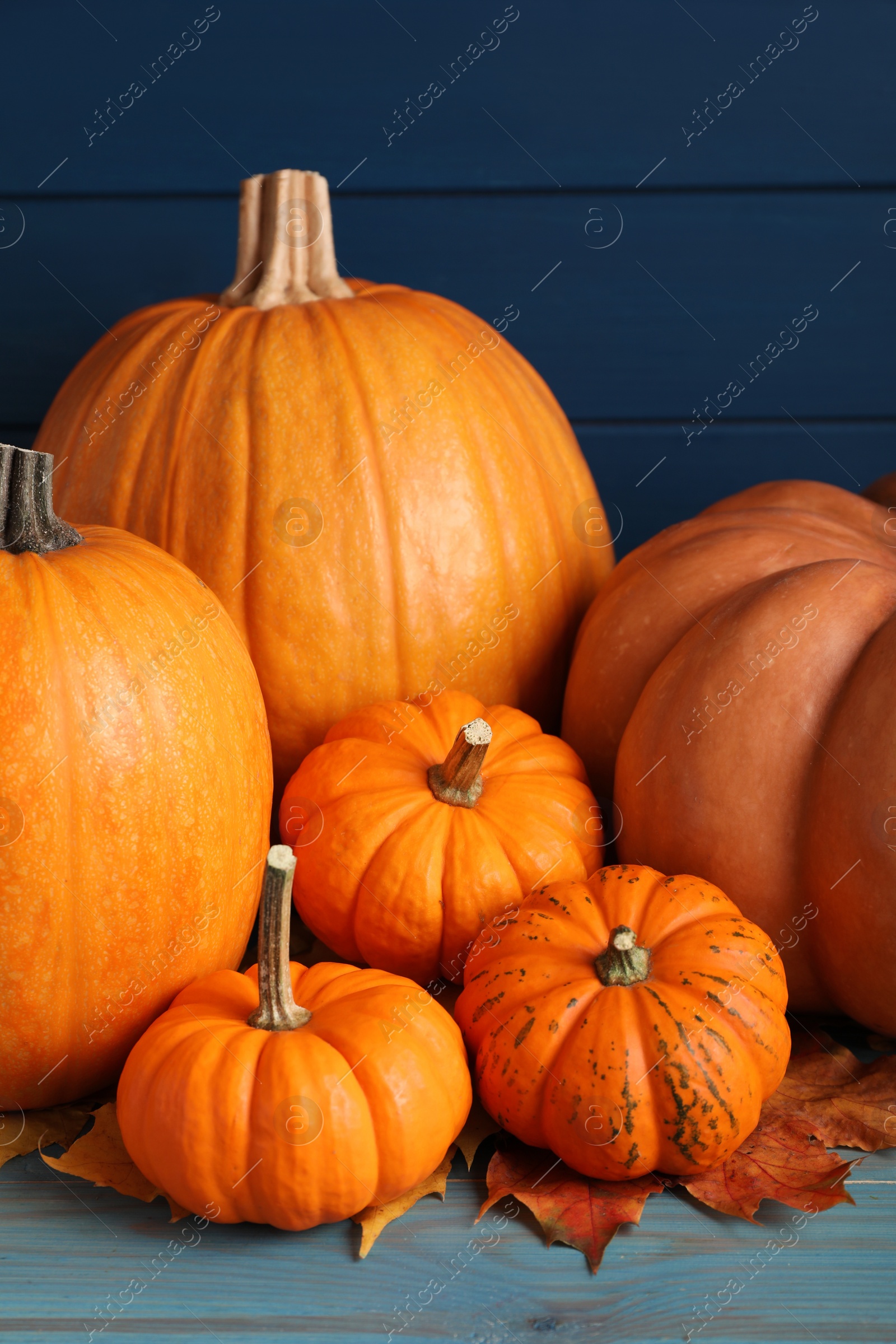 Photo of Pile of ripe pumpkins and dry leaves on turquoise wooden table