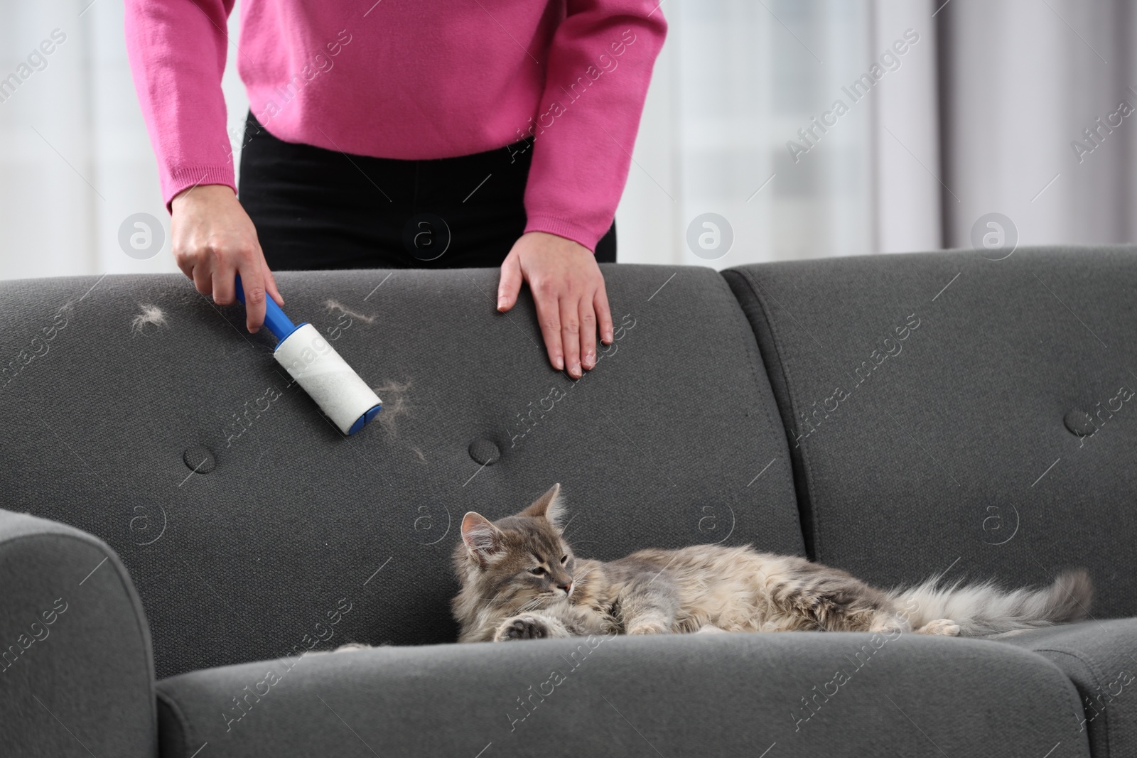 Photo of Pet shedding. Woman with lint roller removing cat`s hair from sofa at home, closeup