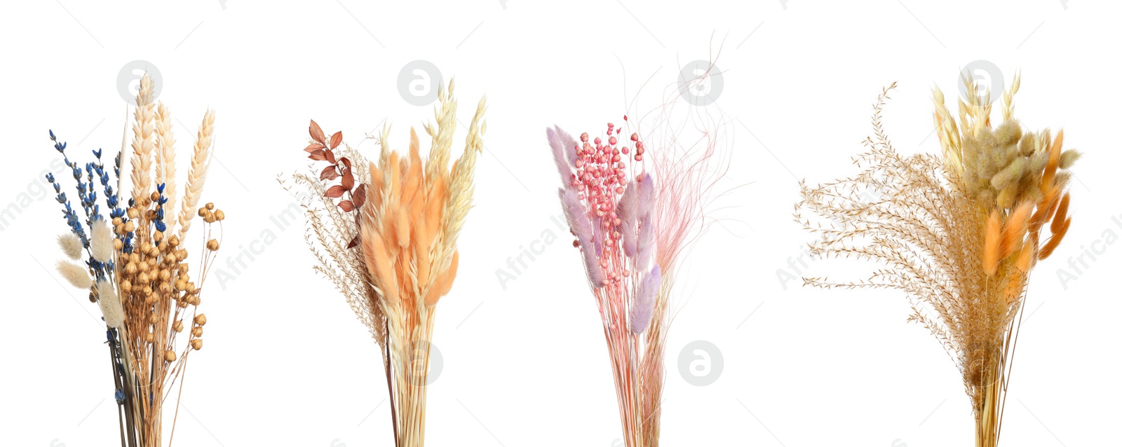 Image of Set with beautiful decorative dry flowers on white background, banner design 