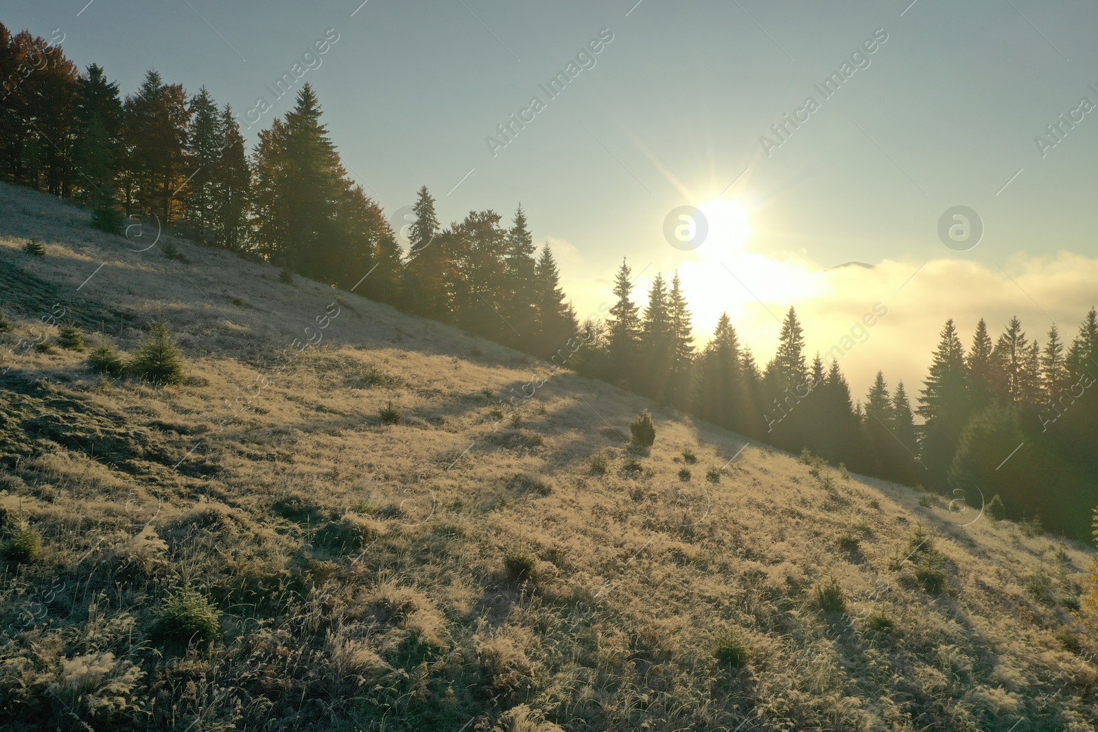 Photo of Sun shining over slope covered with hoarfrost in misty mountains