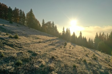 Photo of Sun shining over slope covered with hoarfrost in misty mountains