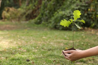 Photo of Woman holding pile of soil and sapling in park, closeup view with space for text. Planting tree