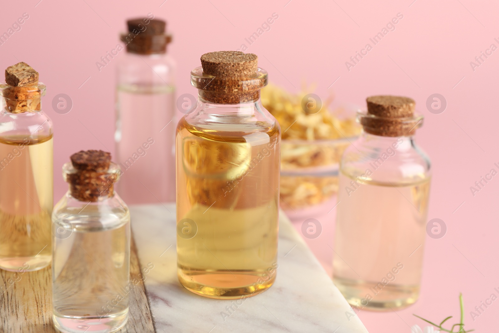 Photo of Aromatherapy. Different essential oils on pink background