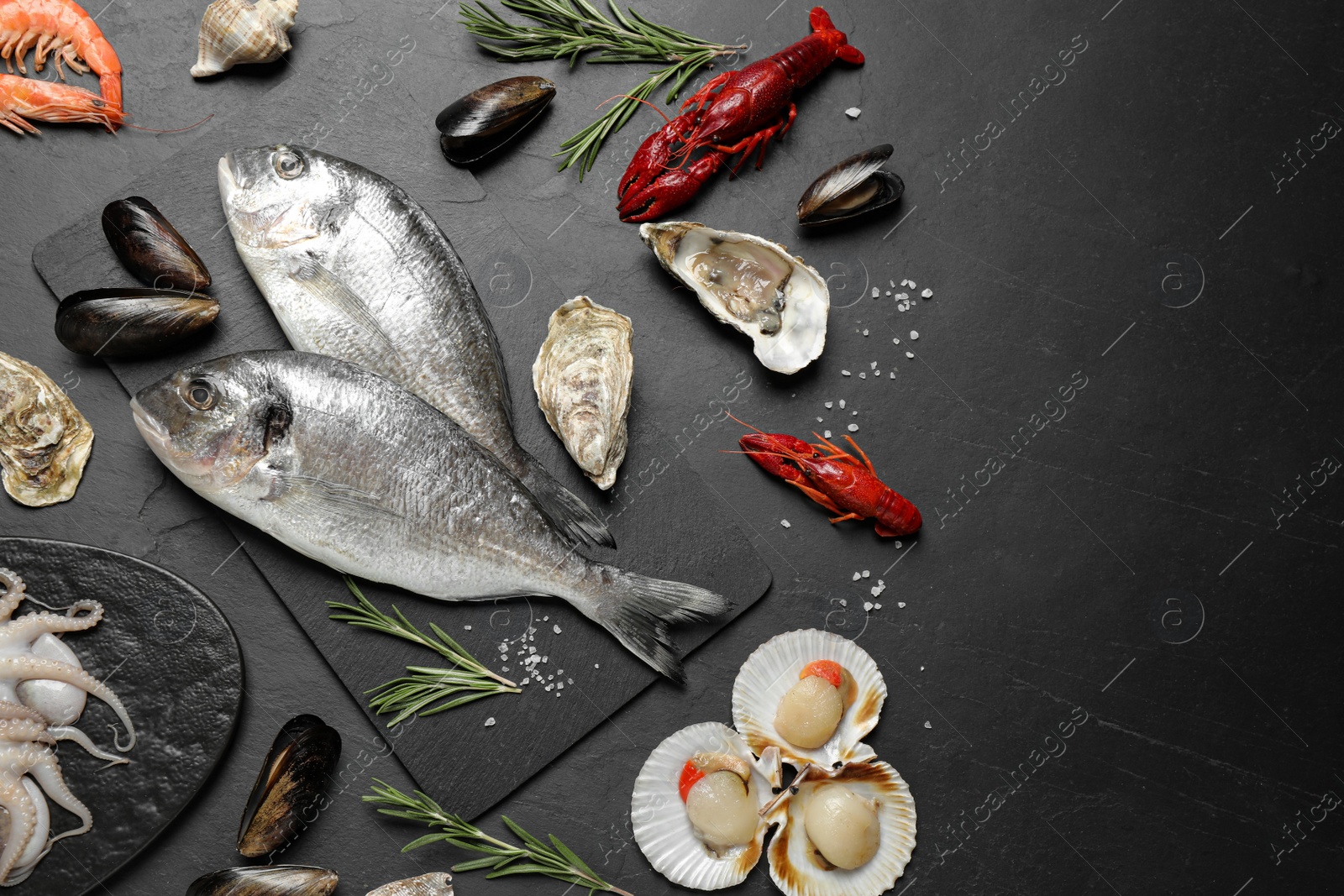 Photo of Fresh fish and different seafood on black table, flat lay