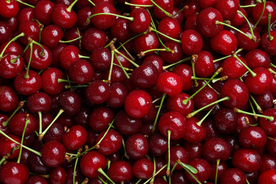 Photo of Sweet red cherries with water drops as background, closeup