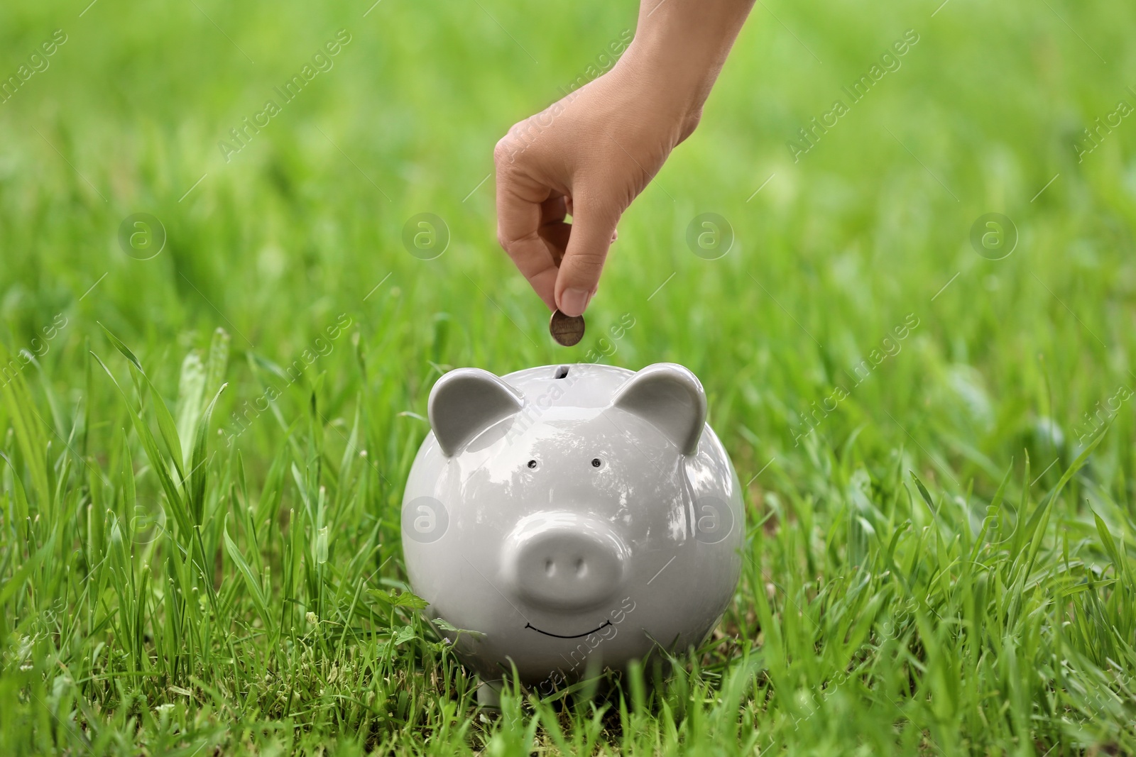 Photo of Young woman putting coin into piggy bank on green grass outdoors, closeup