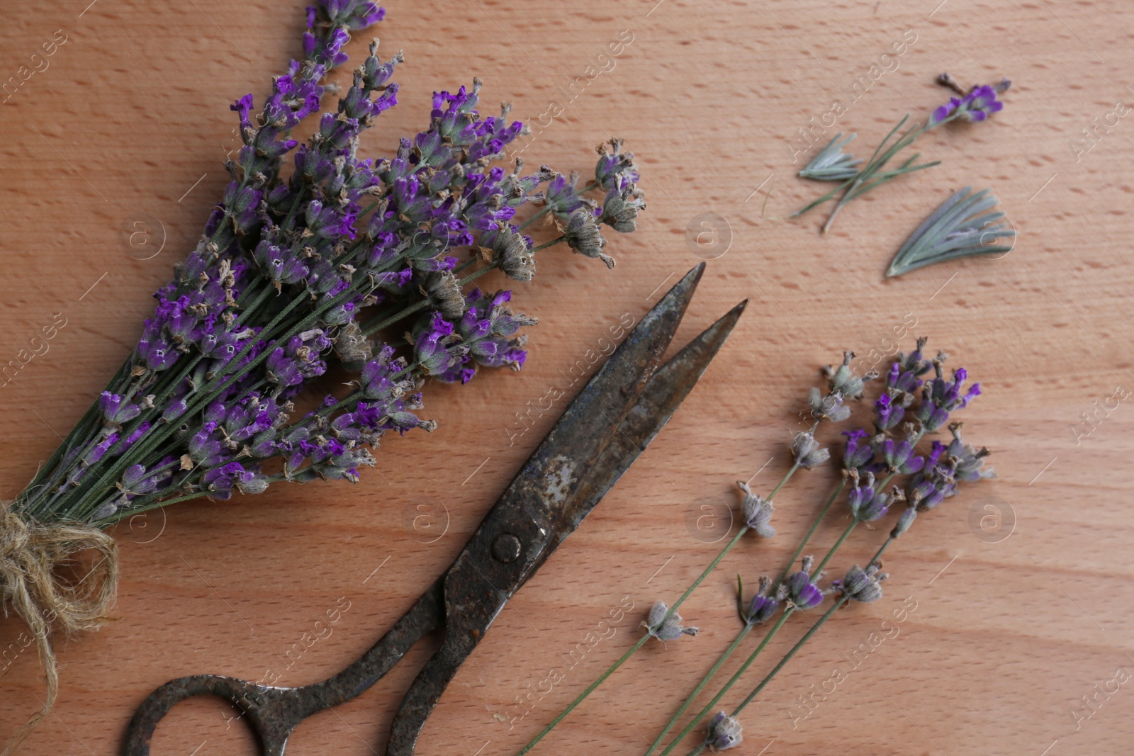 Photo of Beautiful lavender flowers and scissors on wooden table, flat lay