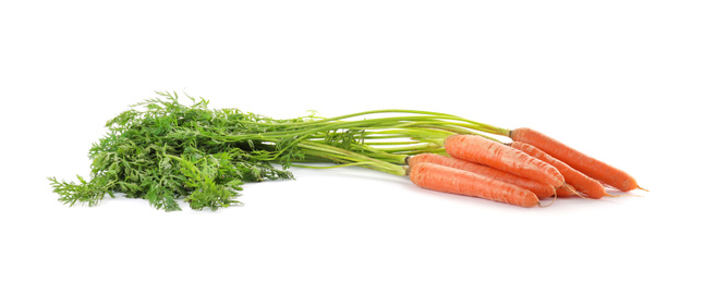 Photo of Bunch of fresh ripe carrots isolated on white