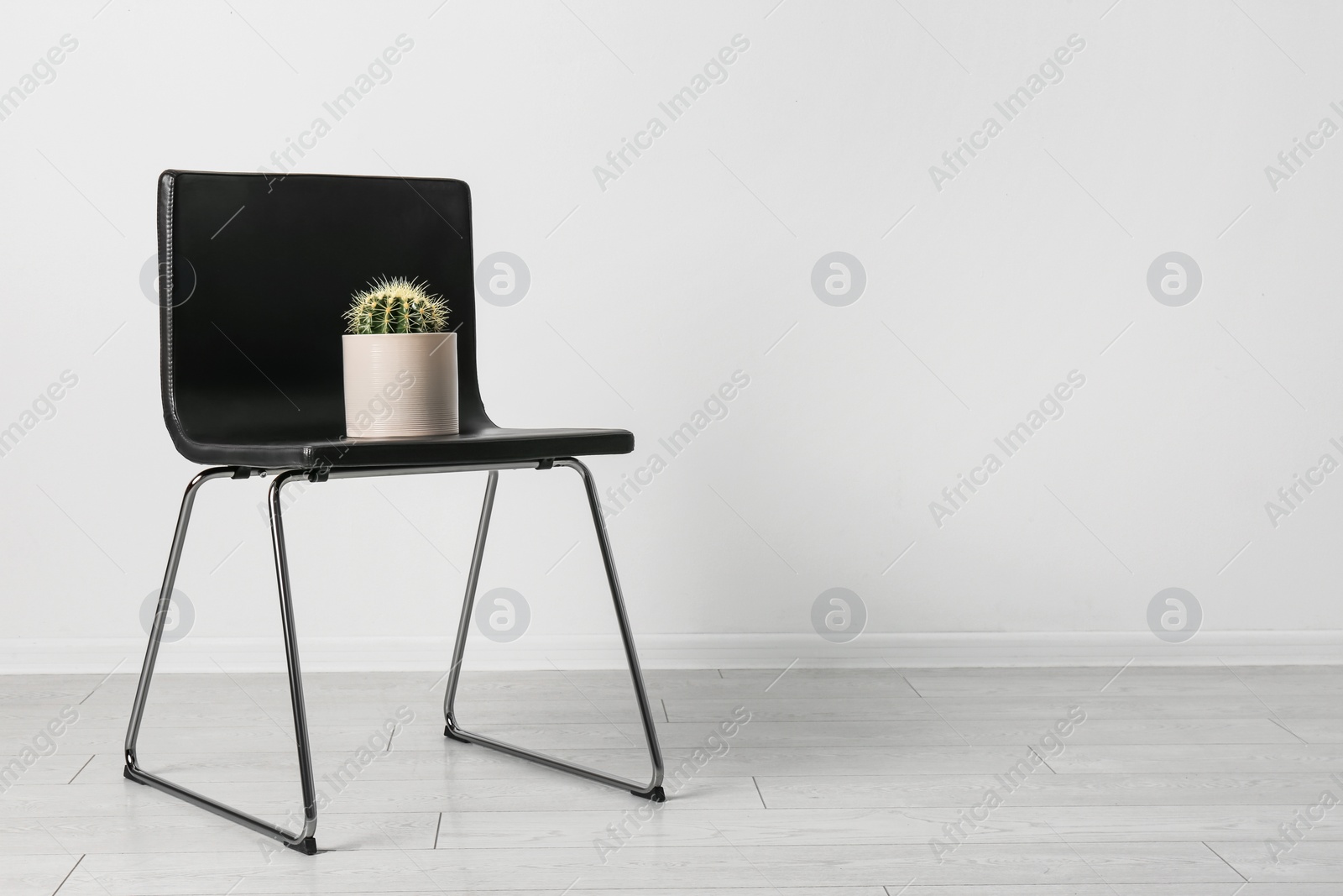 Photo of Chair with cactus near white wall, space for text. Hemorrhoids concept
