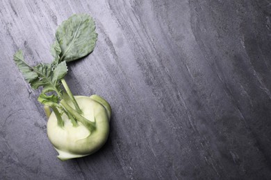 Photo of Whole ripe kohlrabi plant on grey table, top view. Space for text