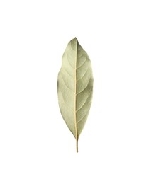 Photo of One aromatic bay leaf isolated on white