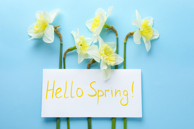 Photo of Card with words HELLO SPRING and narcissus flowers on light blue background, flat lay