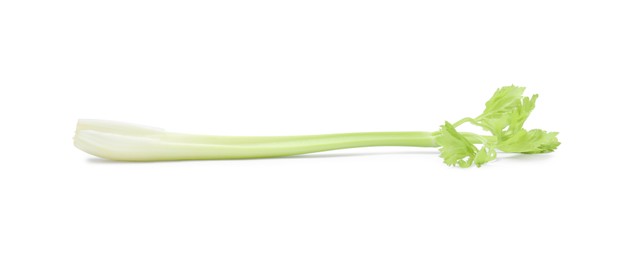 Fresh green celery stem isolated on white