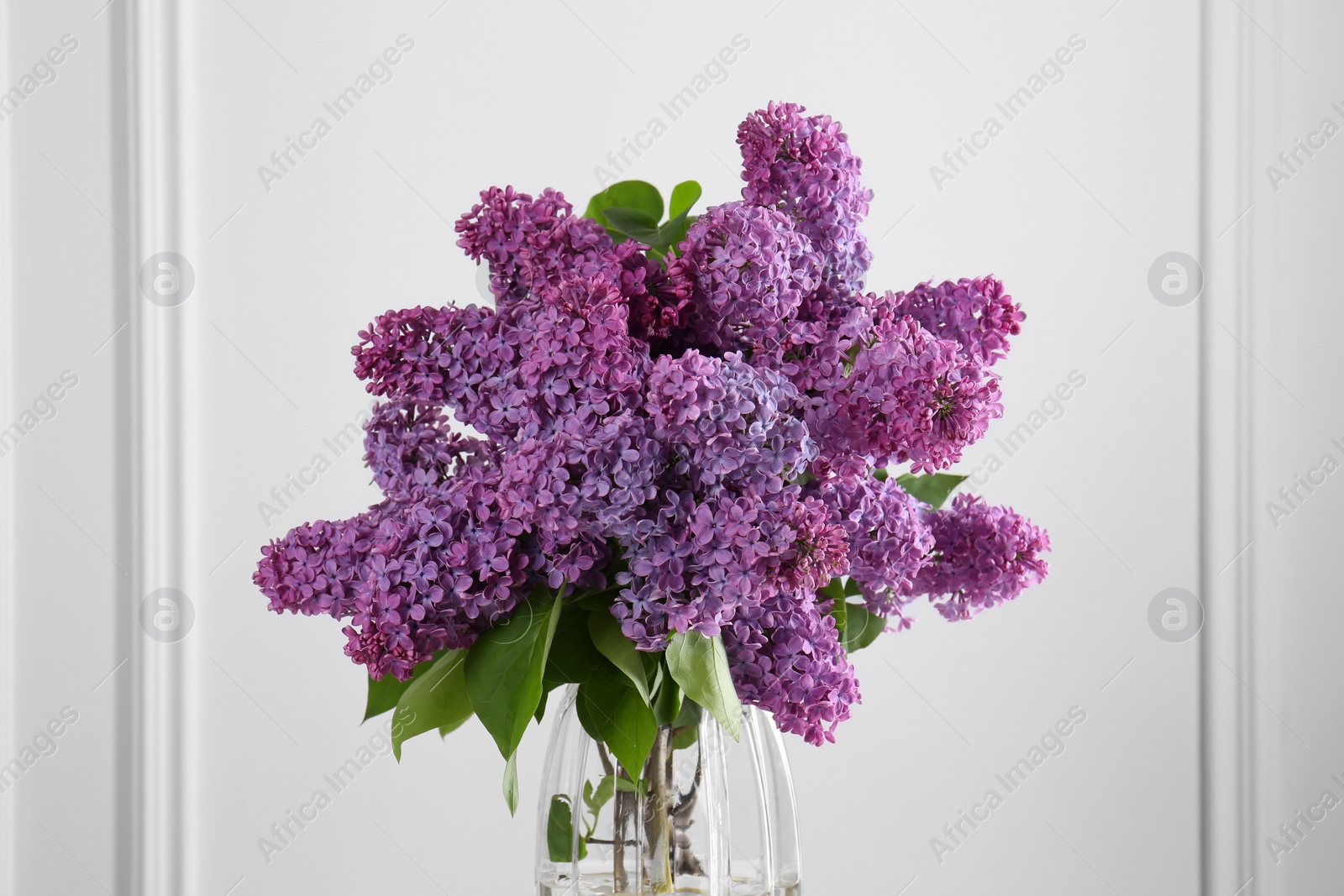 Photo of Beautiful lilac flowers in vase near white wall