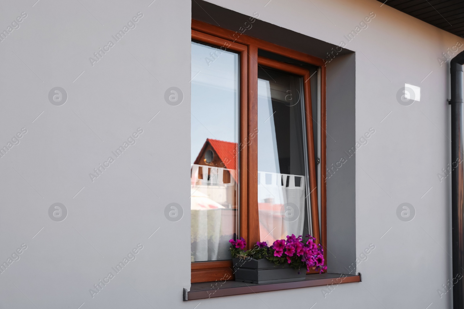 Photo of View of flower box on window sill outdoors