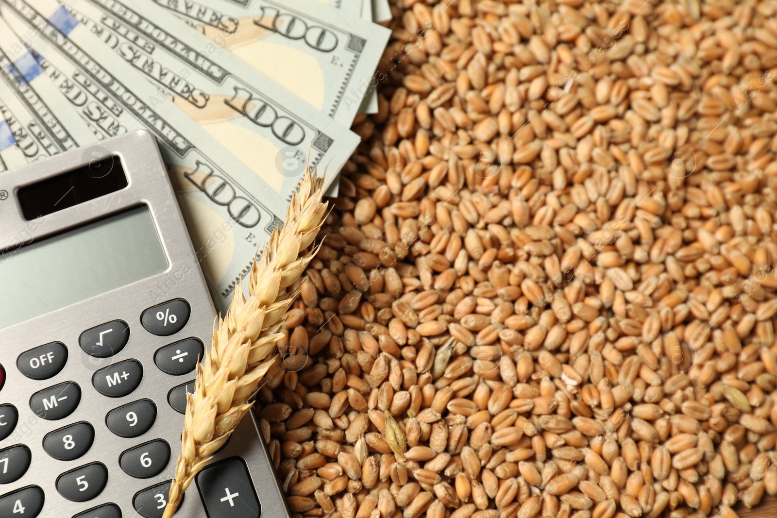 Photo of Dollar banknotes, calculator and wheat ear on grains, closeup. Agricultural business